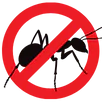 Ant Control Greensborough