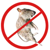 Dead Animal Removal Greensborough