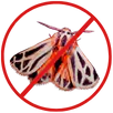 Moth Control Greensborough