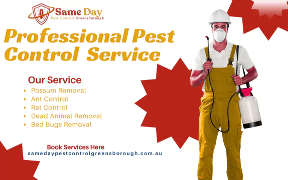 Pest Control Greensborough